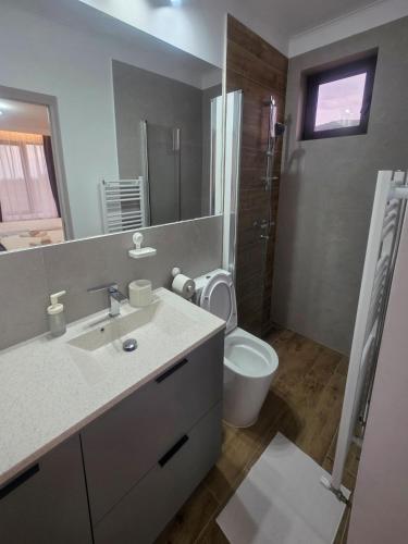 a bathroom with a sink and a toilet and a mirror at Hillcrest Panorama Valea Prahovei in Poiana Comarnic