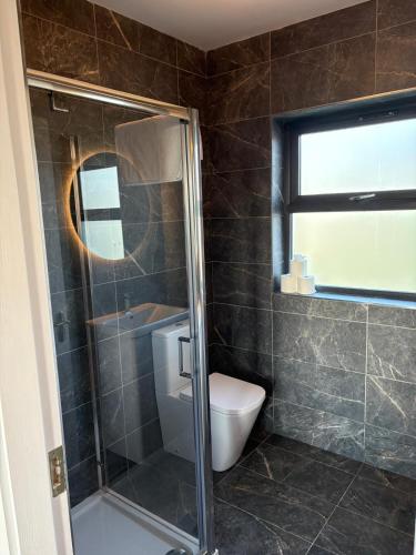 a bathroom with a toilet and a glass shower at Dingle Lispole Garden Suite 6 in Lispole