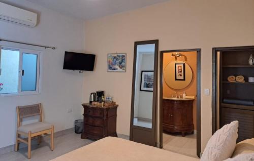 a bedroom with a bed and a mirror and a tv at Alojamiento Privado San Jose Viejo BCS in San José del Cabo