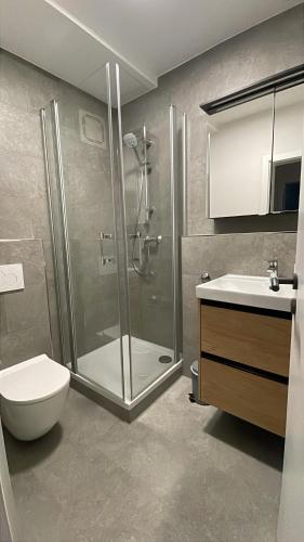 a bathroom with a shower and a toilet and a sink at Auszeit in Bad Dürkheim