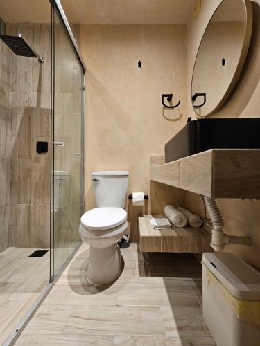 a bathroom with a toilet and a shower and a sink at MID-498 Centro in Mérida