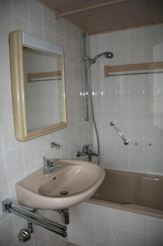 a bathroom with a sink and a shower with a mirror at Ferienhaus-Maxen in Müglitztal