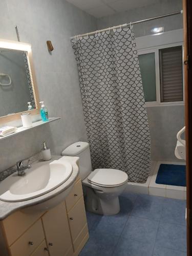 a bathroom with a toilet and a sink and a shower at L'Hortet de Can Serra in Xerta
