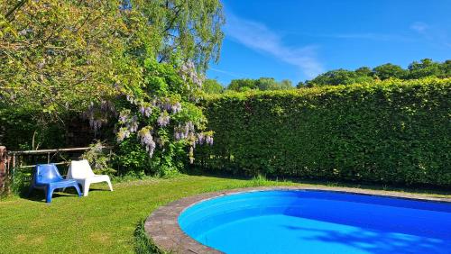 a yard with a pool and a chair and a hedge at Bed and Breakfast Lovenem - ruime studio met zwembad en sauna op de Veluwe in Leuvenheim