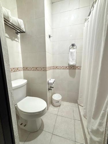 a small bathroom with a toilet and a shower at Hotel Enterprise Inn Plaza in León