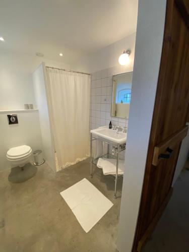 a bathroom with a sink and a toilet and a mirror at Sebber Kloster in Nibe