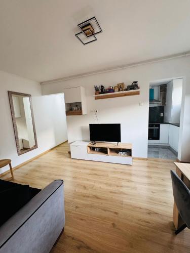 a living room with a flat screen tv at Apartament UNO in Reşiţa