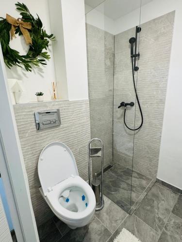 a bathroom with a toilet and a shower at Apartament UNO in Reşiţa