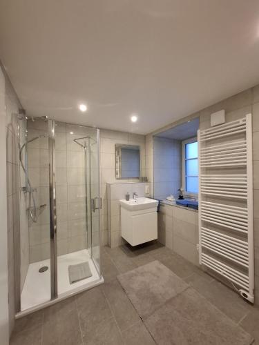 a bathroom with a shower and a sink at Ferienwohnung Elisabeth 2 Waxweiler in Waxweiler