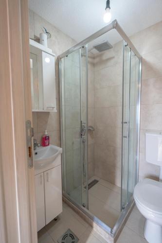 a bathroom with a shower with a toilet and a sink at Apartmani Perosevic in Danilovgrad