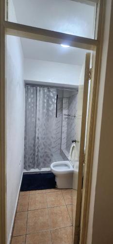 a bathroom with a toilet and a shower at Emeli apartments in Nairobi
