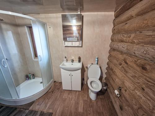 a bathroom with a toilet and a sink and a shower at Poilsis netoli Druskininkų in Druskininkai