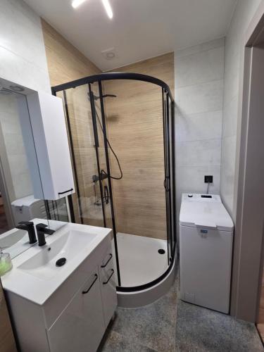 a bathroom with a shower and a toilet and a sink at Kameralne Kładno in Łopienica