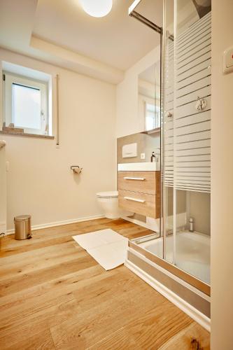 a bathroom with a glass shower and a toilet at Moderne Apartments im Bayerischen Wald mit Bergblick, Balkon & großer Terrasse in Schöfweg
