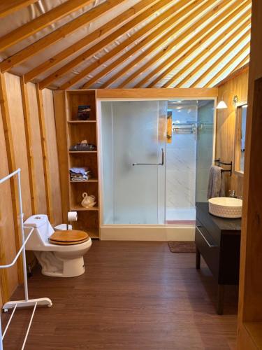 a bathroom with a shower and a toilet and a sink at Riverview Yurt in Tarras