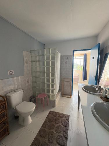 a bathroom with a toilet and a sink at Versant Caraïbes in Gourbeyre