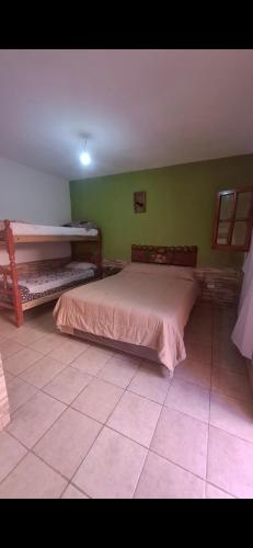 a bedroom with two beds and a green wall at HOSPEDAJE EIMy in Purmamarca