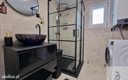 a bathroom with a sink and a glass shower at Atlantis villa in Ustka