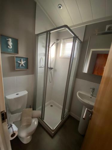 a bathroom with a shower and a toilet and a sink at Sunset Lodge in Poole