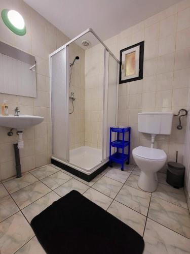a bathroom with a shower and a toilet and a sink at Domek Jabłoniowy in Małe Leżno