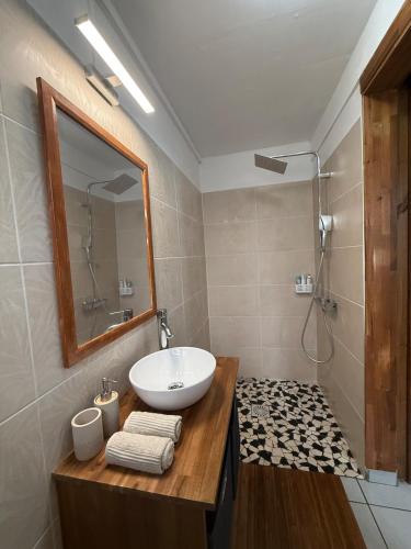 a bathroom with a sink and a mirror at Zabitant Lodge Éliane in Vieux-Habitants