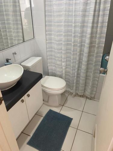 a bathroom with a toilet and a sink and a shower at Alojamiento Parque Libertad in La Serena