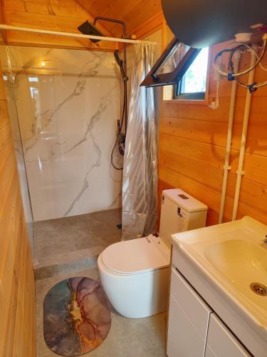 a bathroom with a toilet and a sink at Noygut in Dzhetyoguz