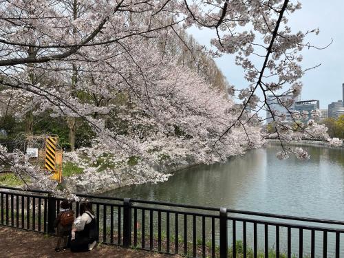 心齋橋 道頓堀步行圈60平方米兩房一廳
