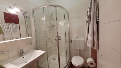 a bathroom with a shower and a toilet and a sink at Apartments Ginkgo in Banjole