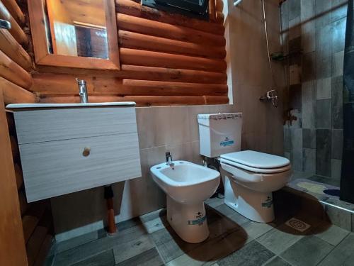 a bathroom with a toilet and a sink at Cabañas Paraje de los Sueños in Uspallata