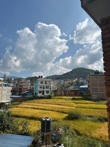 a view of a field from a building at Yatra Chhen in Bhaktapur