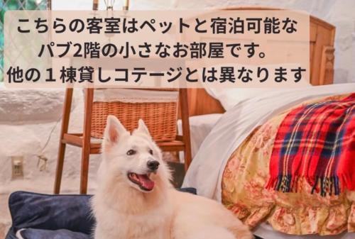 a white dog sitting in front of a bed at Dreamton Village in Kameoka