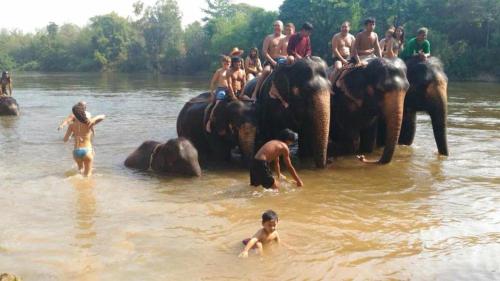 a group of people riding on the backs of elephants in the water at Yayee Homestay in Sai Yok