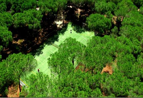 an overhead view of a tennis court in a forest at Hotel Dei Pini in Alghero