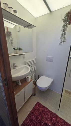 a bathroom with a sink and a toilet and a mirror at Tinyhouse op de Veluwe, het buitenleven in Oene