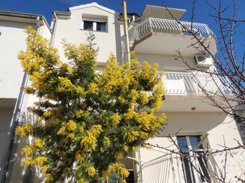 Fotografia z galérie ubytovania Apartment Ordan 503 v destinácii Brodarica