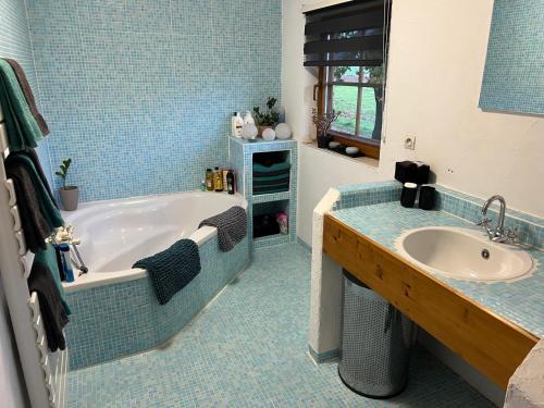 a bathroom with a tub and a sink at Gite Les Hirondelles in Langatte