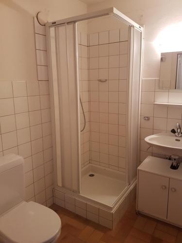 a bathroom with a shower and a toilet and a sink at Sorecrans in Crans-Montana