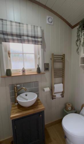 a bathroom with a sink and a toilet at Luxury Shepherds hut with wood fired hot tub on Lincolnshire Coast in Mablethorpe