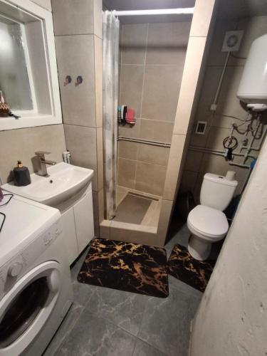 a bathroom with a shower and a toilet and a sink at Бабусині маєтки in Lazeshchyna