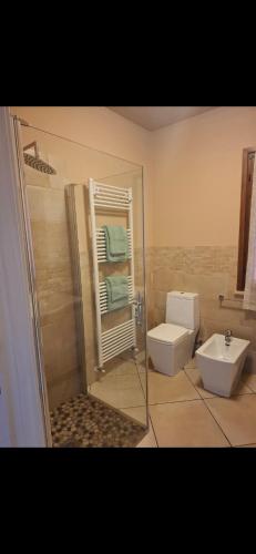 a bathroom with a shower and a toilet and a sink at Gg Home in Sirmione