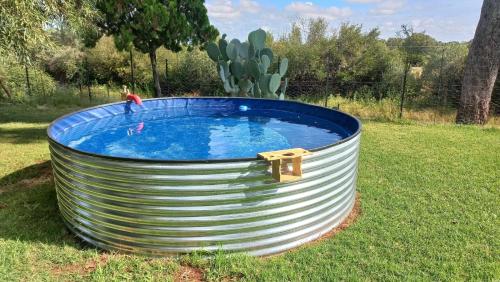 a large metal tub sitting in the grass with a cactus at A Little Guesthouse in Bloemfontein