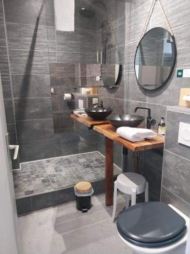 a bathroom with a sink and a toilet and a mirror at Logis Hôtel Restaurant Les Capucins in Avallon