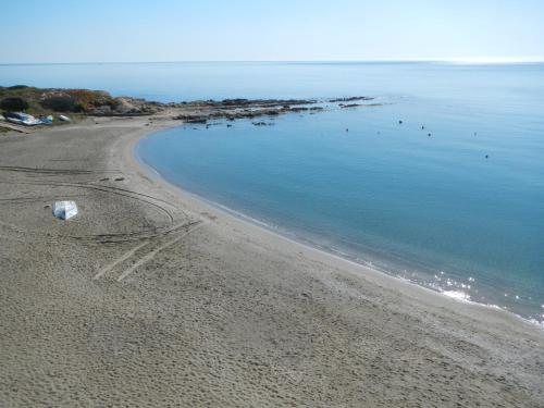 an aerial view of a beach with birds in the water at Hotel Patricia in Torreguadiaro