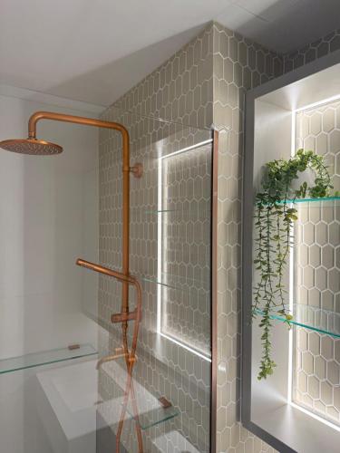 a shower with a glass door with a plant at Salt & Stone - Harbour Views, Balcony & Parking x1 in Newcastle