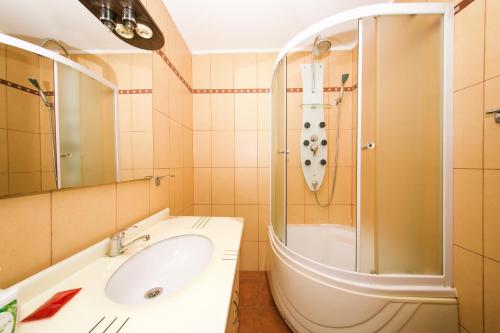 bagno con lavandino e doccia di Dream Residence 64 a Bucarest