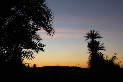 a sunset with palm trees in the foreground at Dar Paru in Mhamid