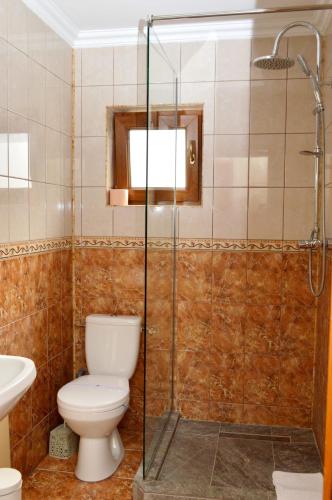 a bathroom with a toilet and a glass shower at Pensiunea Maria in Agapia