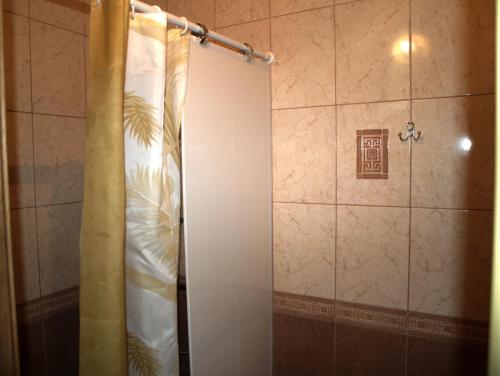 a shower with a shower curtain in a bathroom at Apartament Sanitarna 17 in Lviv