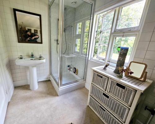 a bathroom with a shower and a sink at The Annexe Lurley Manor in Tiverton